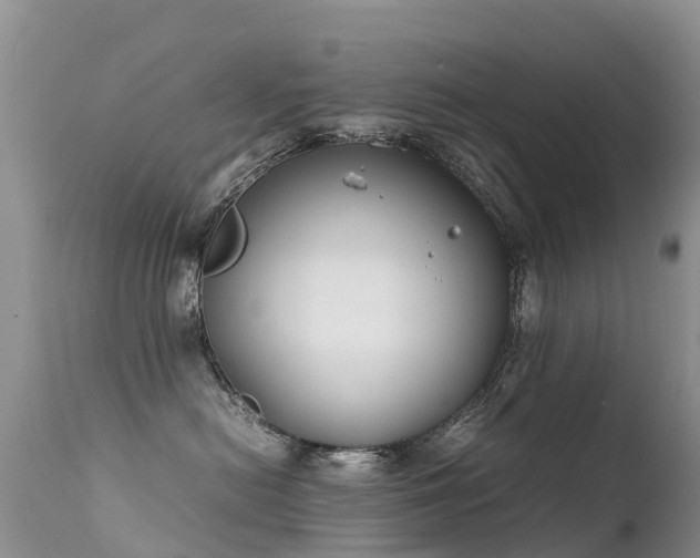 X0000112210478200908141502