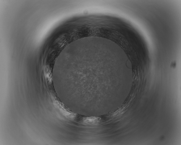 X0000112210479200908141502