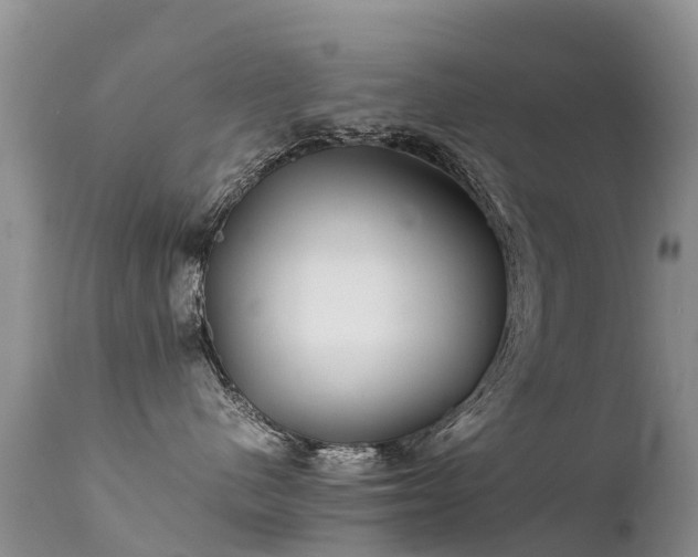 X0000112210480200908141502