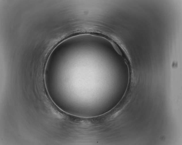 X0000112210481200908141501