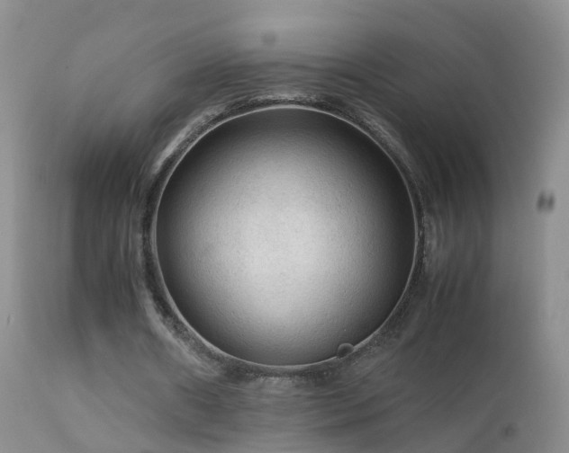 X0000112210482200908141501