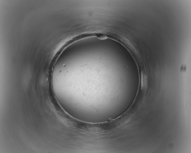 X0000112210483200908141501