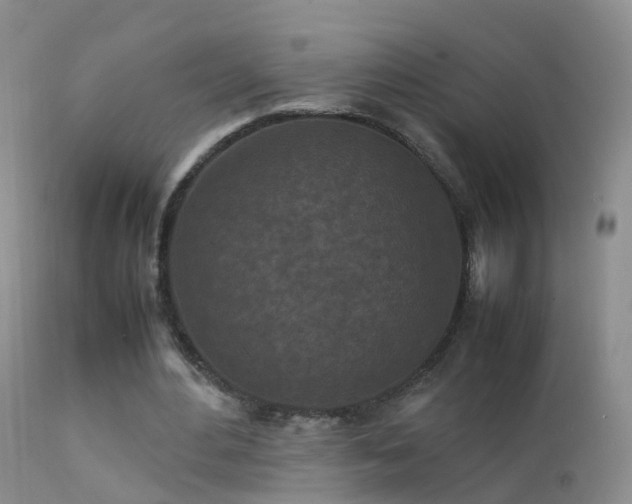 X0000112210484200908141501