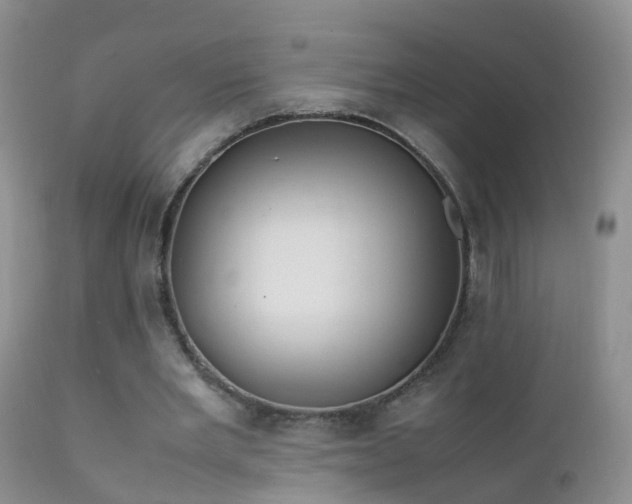 X0000112210485200908141501