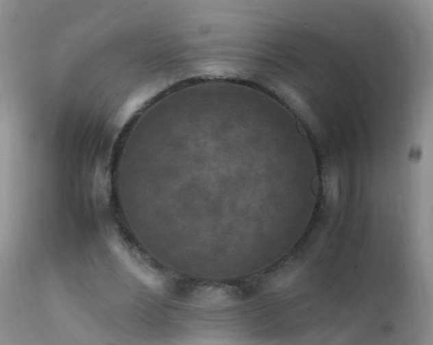 X0000112210488200908141501