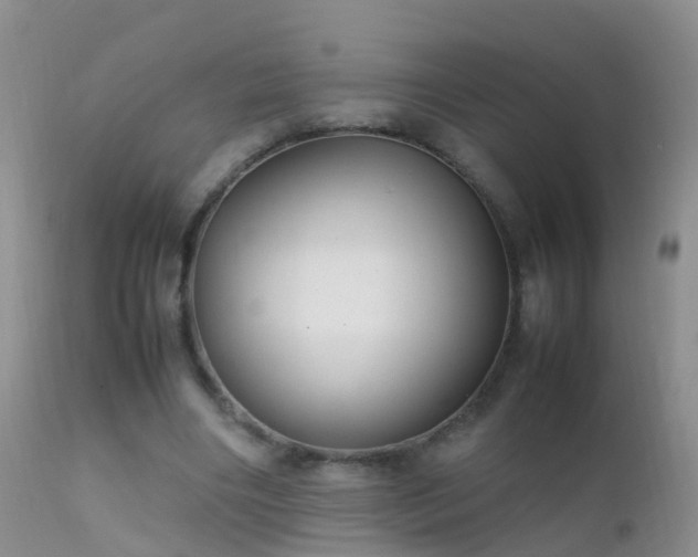 X0000112210490200908141501