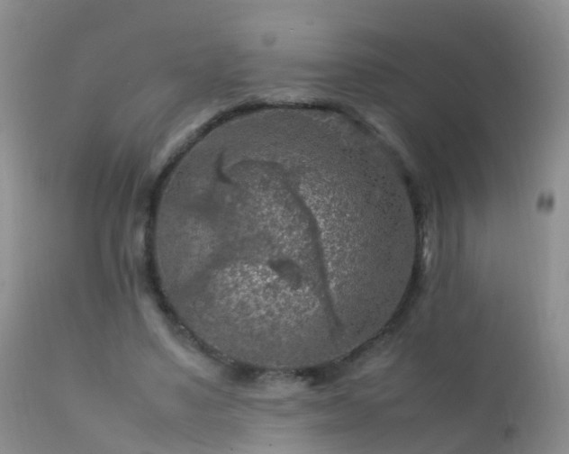 X0000112210491200908141501