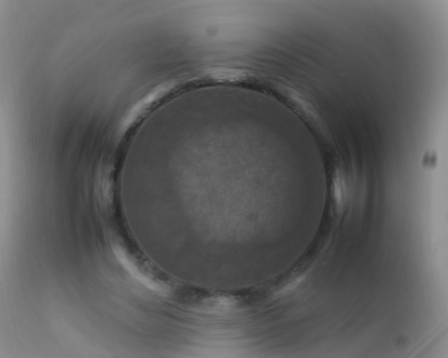 X0000112210492200908141501