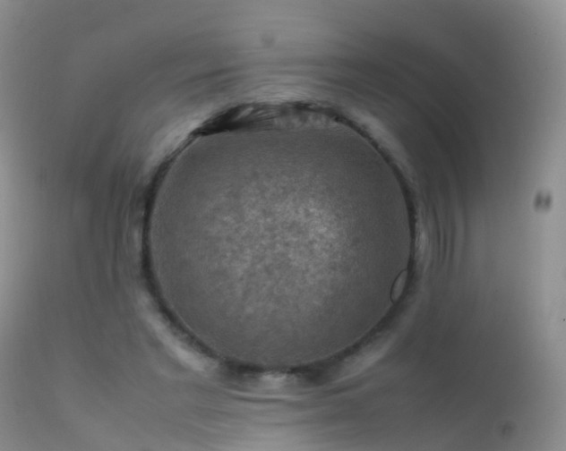 X0000112210493200908141501