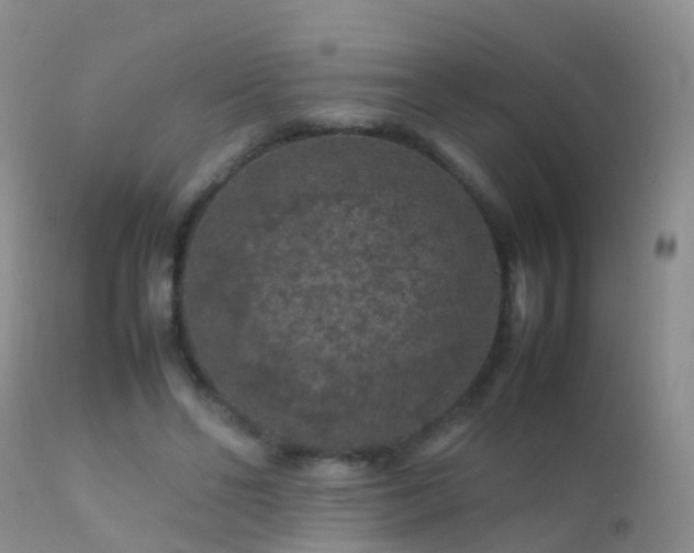 X0000112210494200908141501