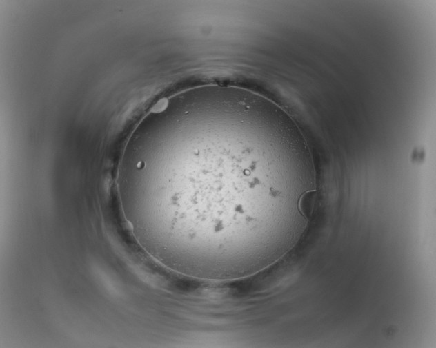 X0000112210495200908141501