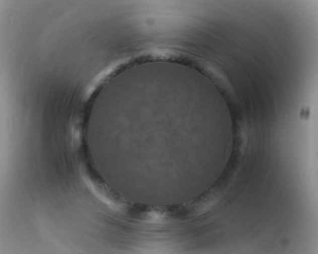 X0000112210496200908141501