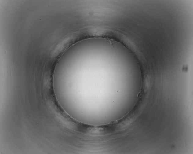 X0000112210497200908141501