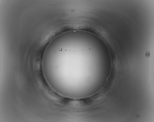 X0000112210499200908141501