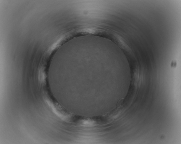 X0000112210500200908141501