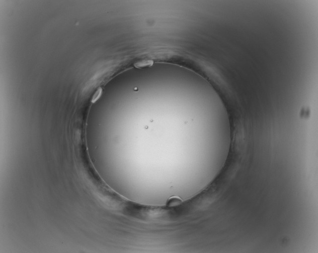 X0000112210501200908141501