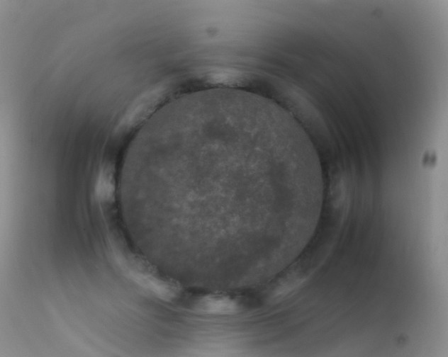 X0000112210502200908141501