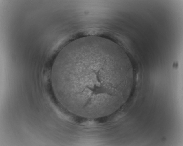 X0000112210503200908141501