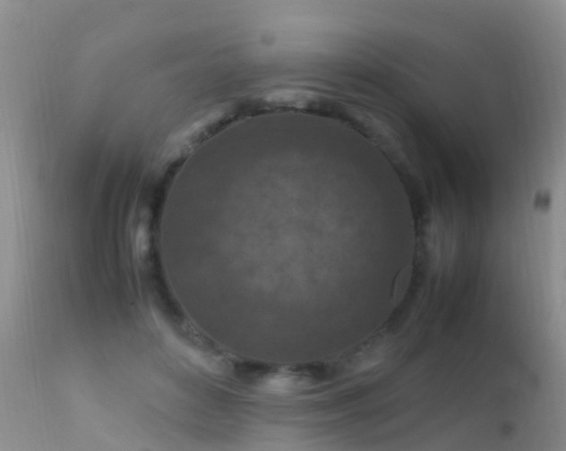 X0000112210504200908141501