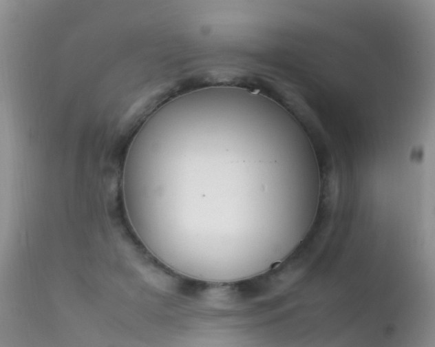 X0000112210505200908141501