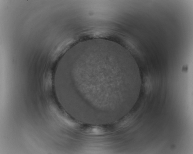 X0000112210506200908141501