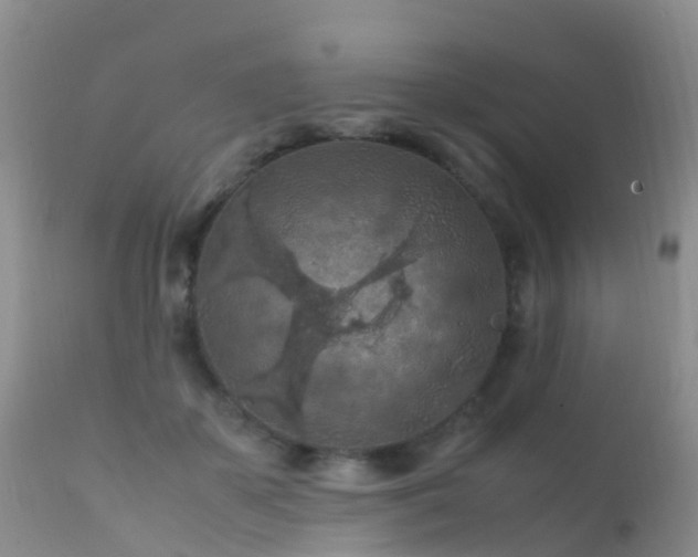 X0000112210507200908141501