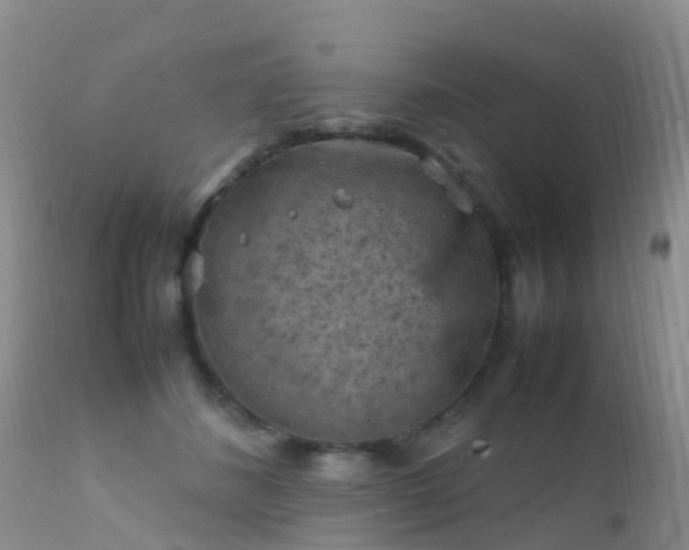 X0000112210508200908141501