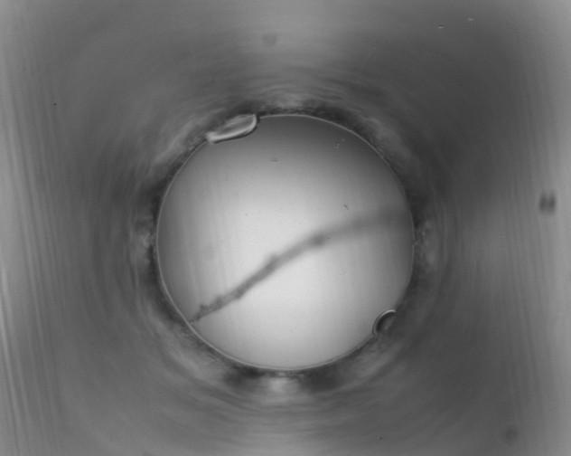 X0000112210509200908141501