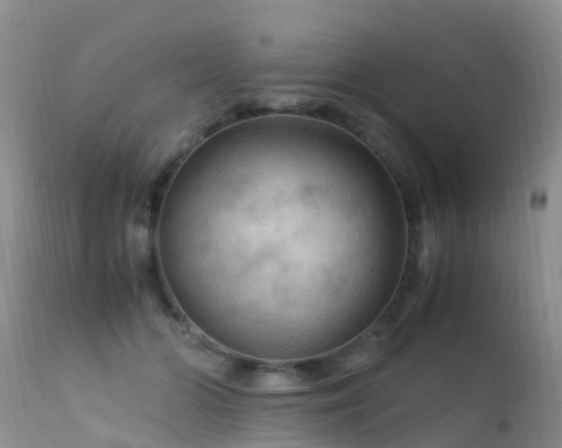 X0000112210510200908141501