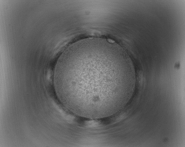 X0000112210511200908141501