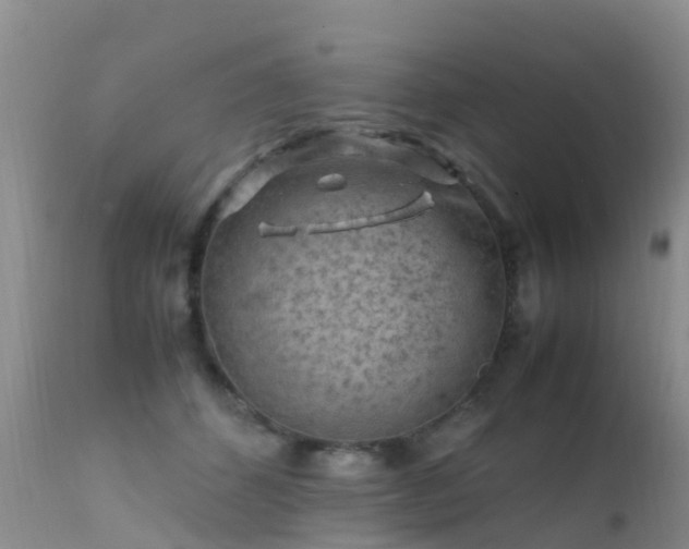 X0000112210512200908141501