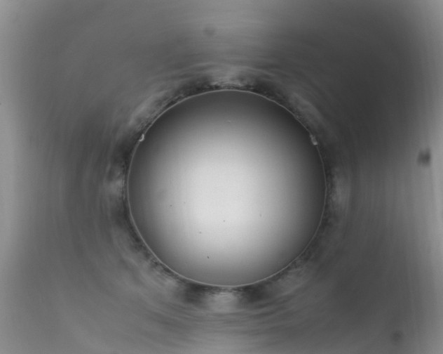 X0000112210513200908141501