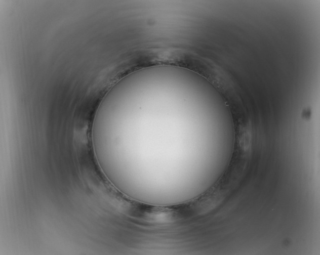 X0000112210514200908141501