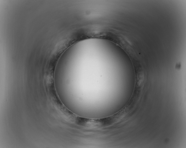 X0000112210515200908141501