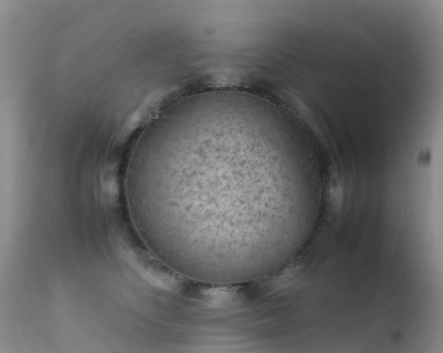 X0000112210516200908141501