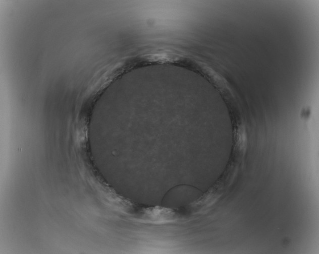 X0000112210517200908141501