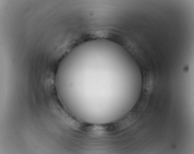 X0000112210518200908141501