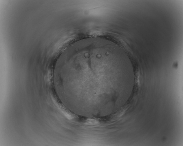 X0000112210519200908141501