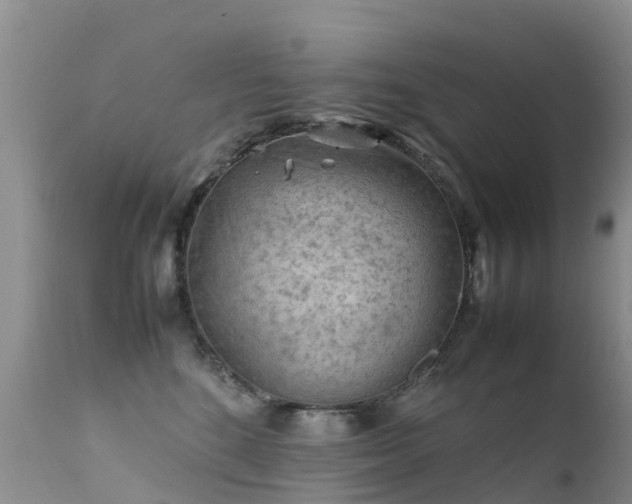 X0000112210520200908141501