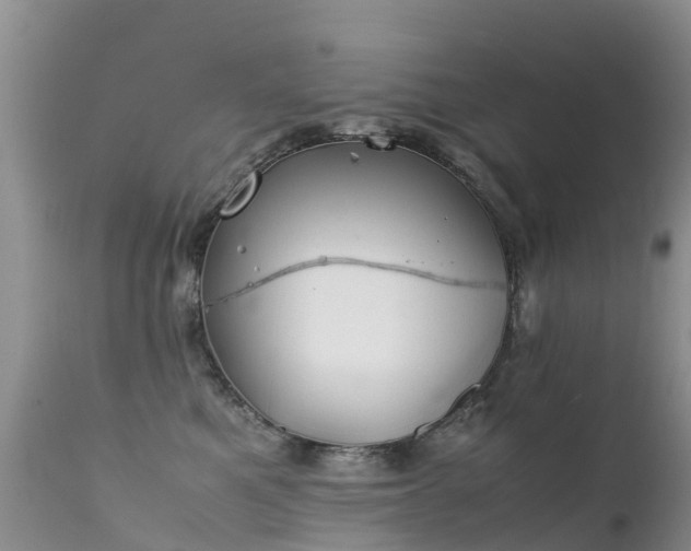 X0000112210521200908141501