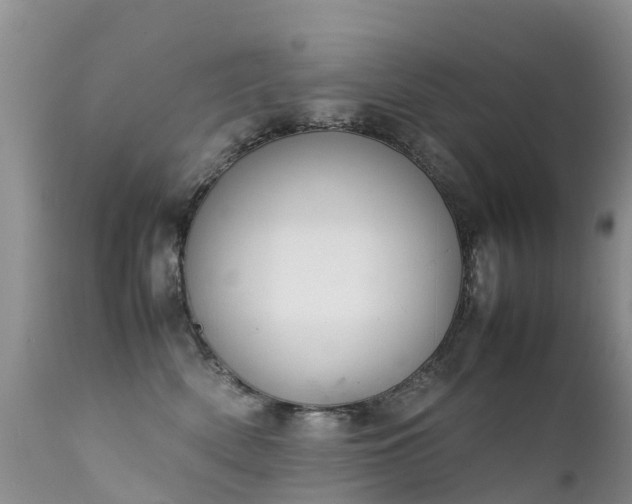 X0000112210522200908141501