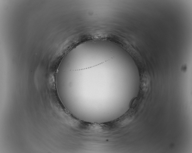 X0000112210523200908141501