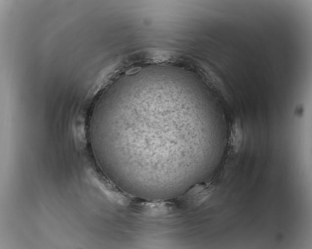 X0000112210524200908141501