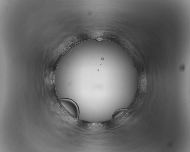 X0000112210525200908141501