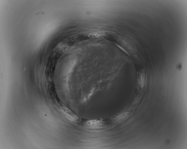 X0000112210526200908141501