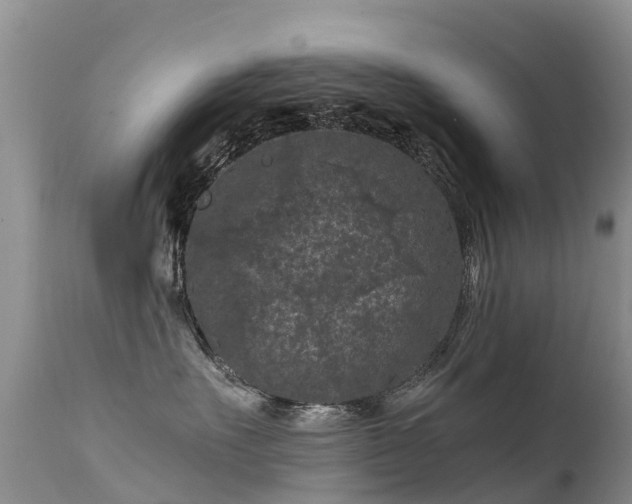 X0000112210527200908141501