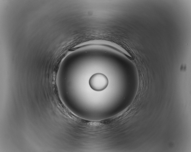 X0000112210528200908141501