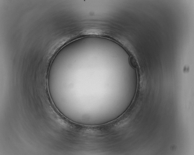 X0000112210529200908141500