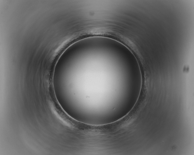 X0000112210530200908141500