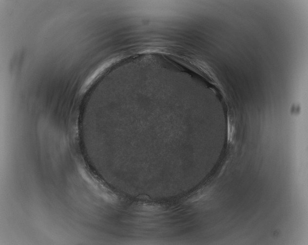 X0000112210531200908141500